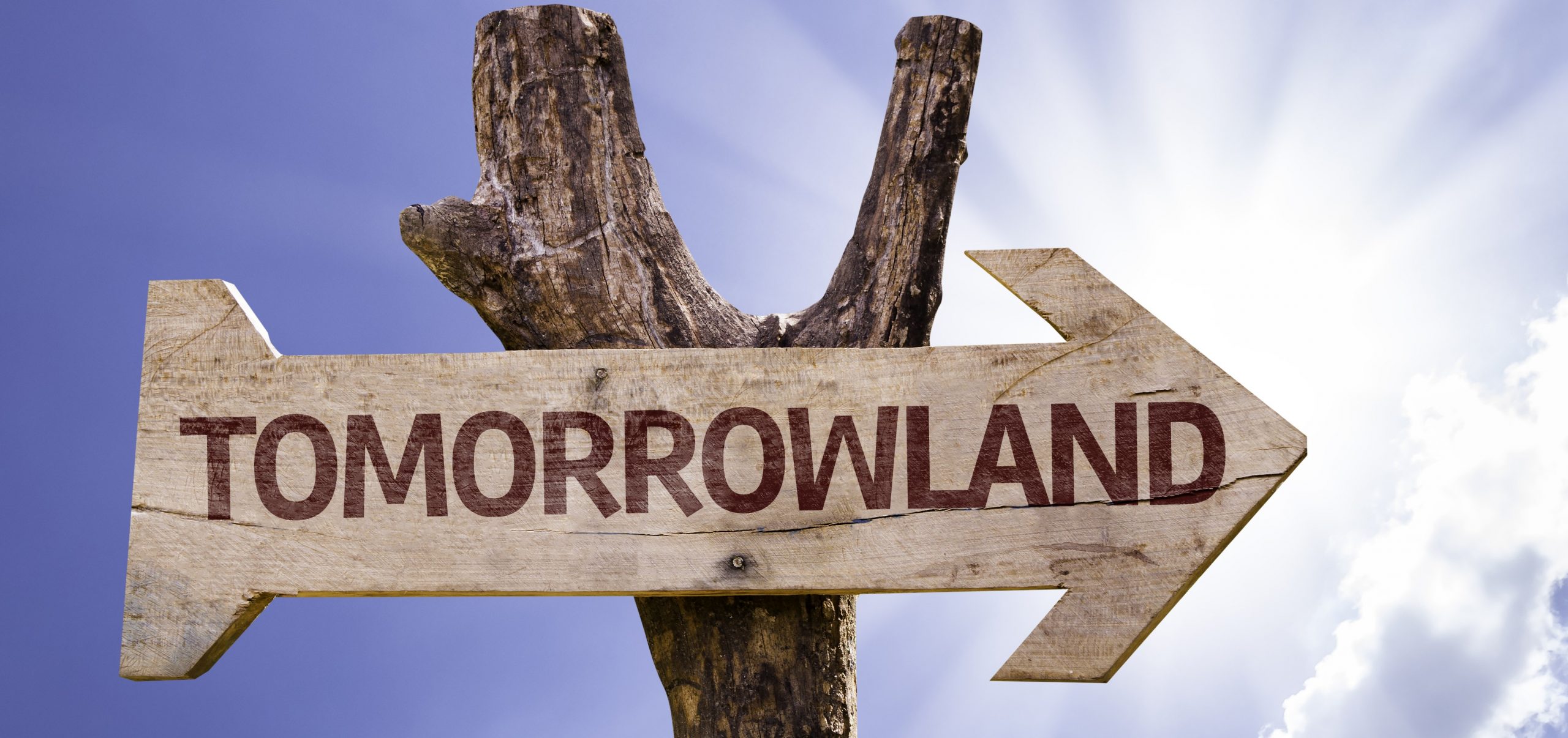 Как не выходя из дома посмотреть Tomorrowland, крупнейший в Европе фестиваль электронной музыки