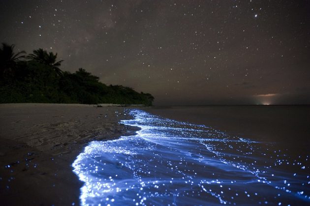 Bioluminescent Beach – Vaadhoo, Maldives best beaches