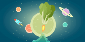 Салат в космосе. Как астронавты выращивают растения на МКС и почему это важно