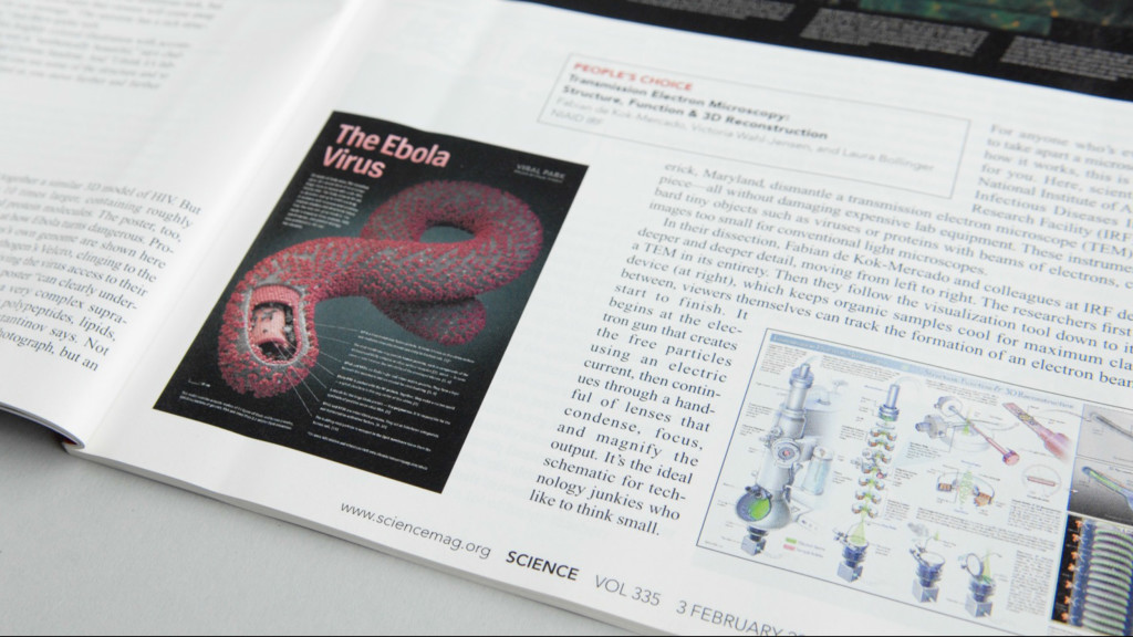 science_magazine_ebola@visual-science