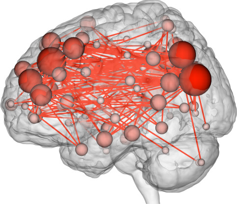 Карта мозга и связей между его областями /// Wired