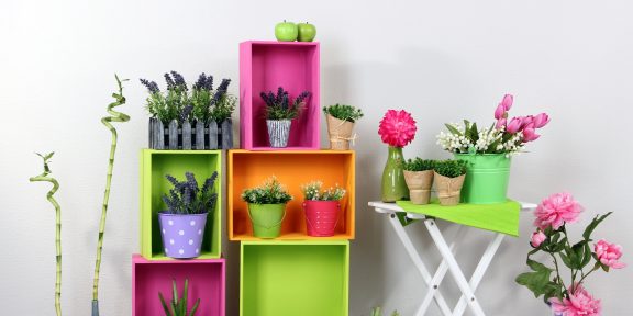 15 комнатных растений, которые сделают воздух в помещении чище
