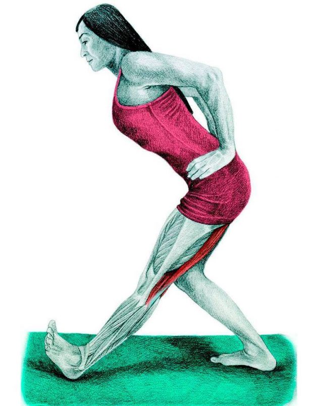 Анатомия стретчинга: наклон к ноге
