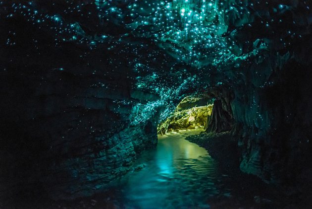 Пещера со светлячками Waitomo Glowworm 