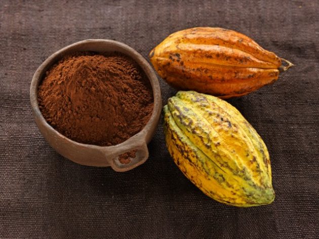 Горячий шоколад: какао-порошок и какао-бобы 