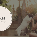 Fetch — новинка от Microsoft, которая подберёт вам собаку по вашему фото
