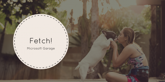 Fetch — новинка от Microsoft, которая подберёт вам собаку по вашему фото