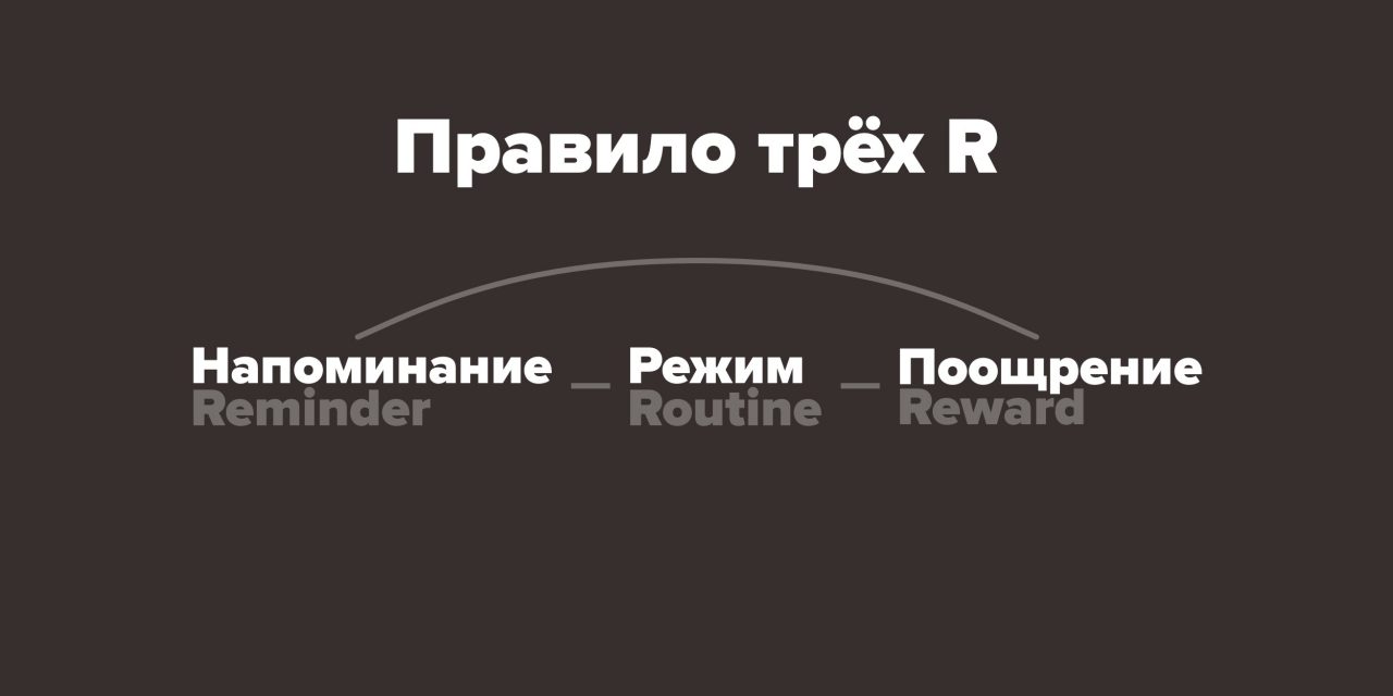 Напомни в 3 часа. Вырабатываем привычку. Сколько вырабатывается привычка.