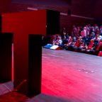 10 незаурядных выступлений на TED от эксцентричных докладчиков
