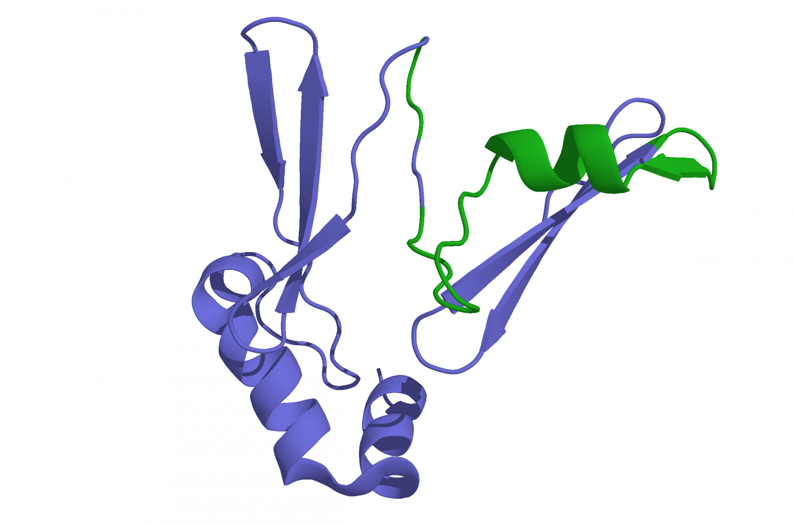 Грилин. Грелин пептид. Грелин рисунок. Ghrelin Hormone. Грелин гормоны уколы.