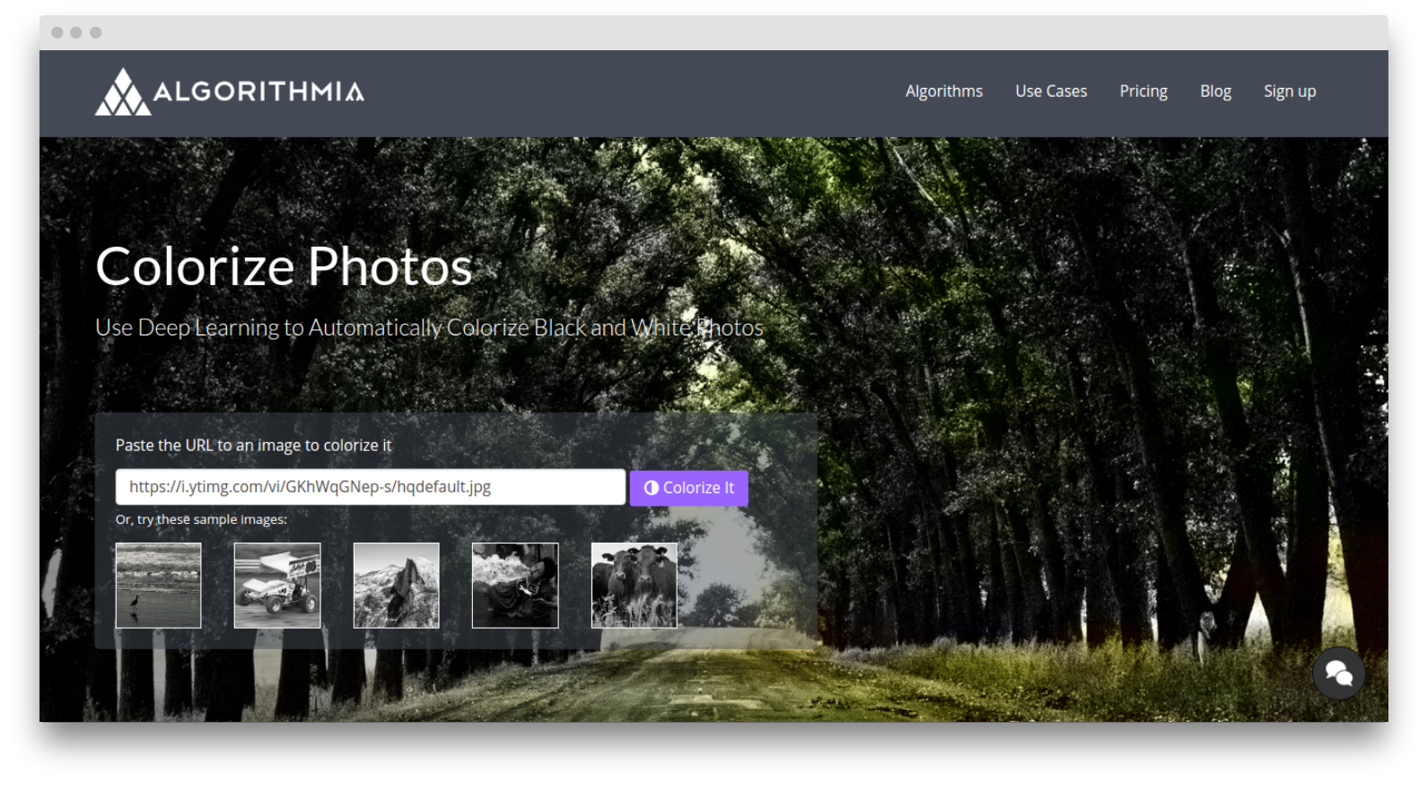 Algorithmia приложение раскрасить черно белых фотографий