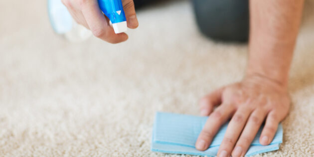 Как избавиться от запаха на ковре