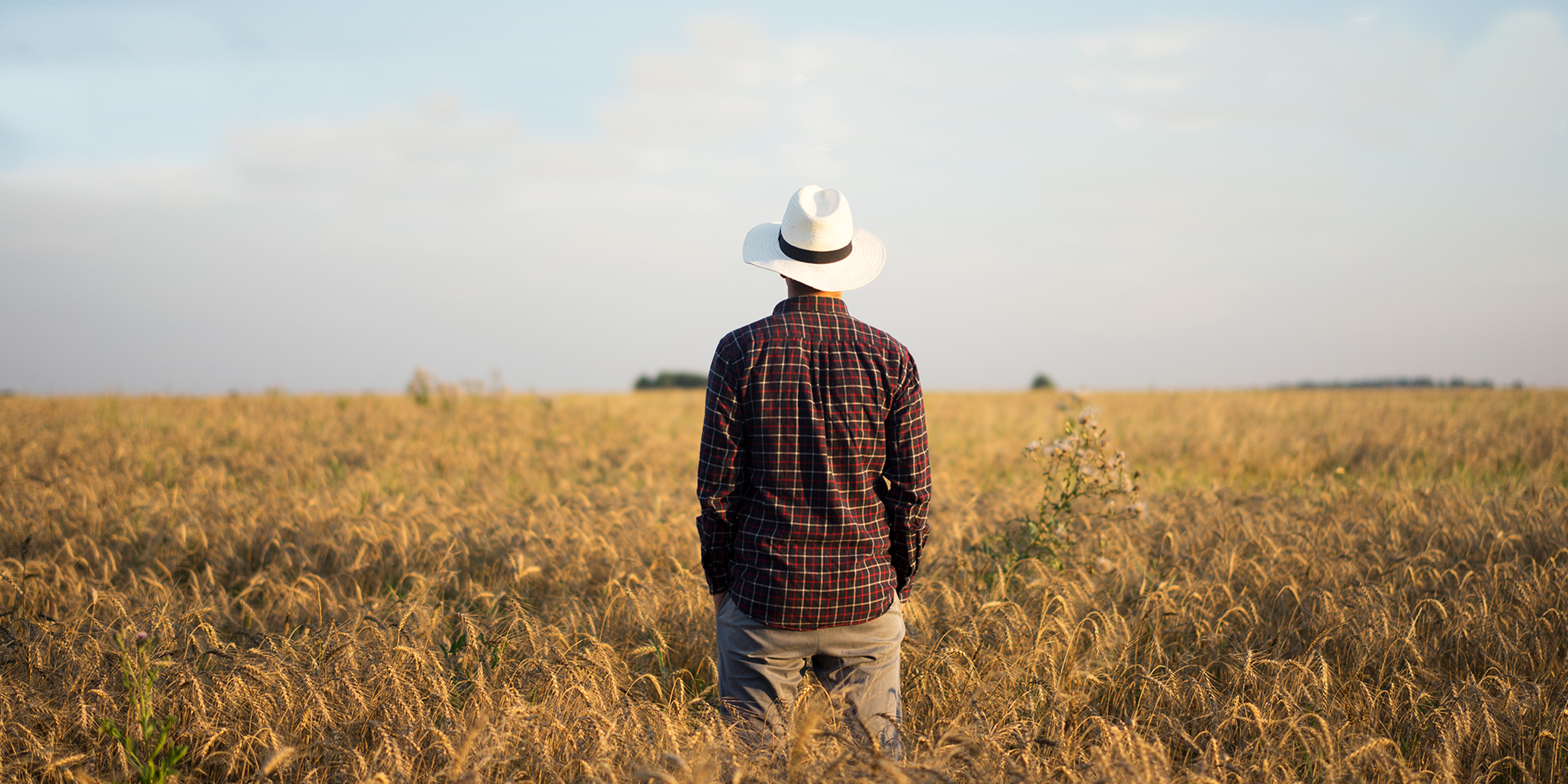 Запустился путеводитель Coca-Cola по России —&nbsp;от Петербурга до Владивостока