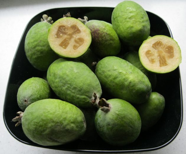 Here Are The Reasons Why You Should Eat More Feijoa Berries