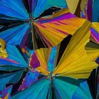 Абстрактное искусство в аскорбиновой кислоте: привычные вещества под микроскопом