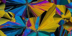 Абстрактное искусство в аскорбиновой кислоте: привычные вещества под микроскопом