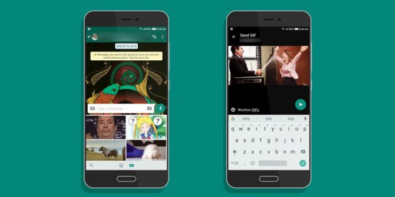 WhatsApp для Android добавил поиск и отправку гифок с Giphy