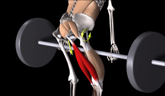 Мёртвая тяга: техника выполнения и упражнения для растяжки необходимых мышц thumbnail