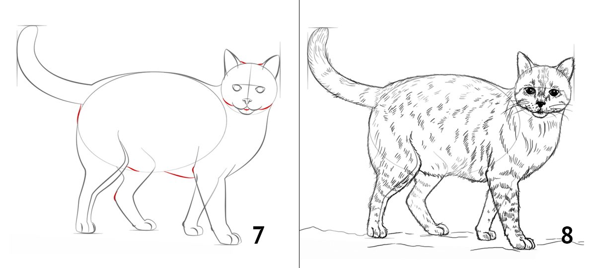 Как нарисовать человека, кошку и многое другое, если художник из вас  никакой - Лайфхакер