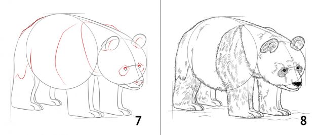 Как нарисовать панду