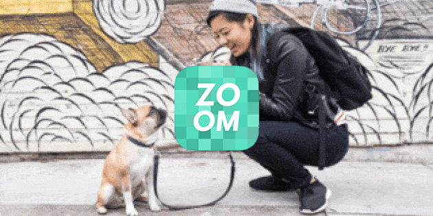 Zoom, Enhance! для iOS — создаём из фото гифки с эффектом наезжающей камеры
