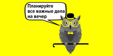 Как спать до 9 утра и зарабатывать миллионы: истории успешных сонь