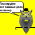 Как спать до 9 утра и зарабатывать миллионы: истории успешных сонь