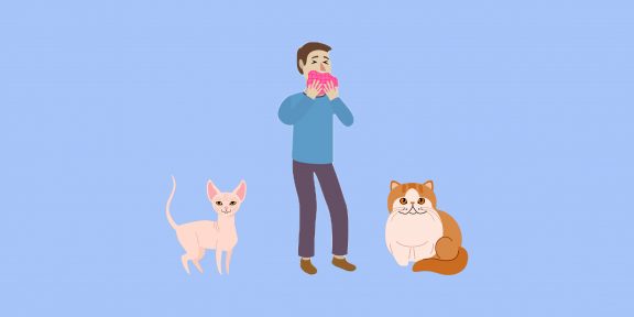Правда и мифы об аллергии на кошек