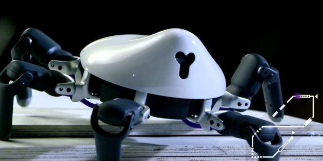 �����������: ������ ����, ������� ����� ������ �� Kickstarter � � ������ ������