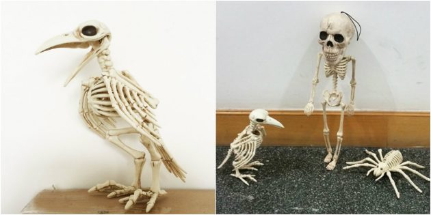 Скелет ворона