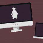 Kak ustanovit' Linux: podrobnejshaya instrukciya