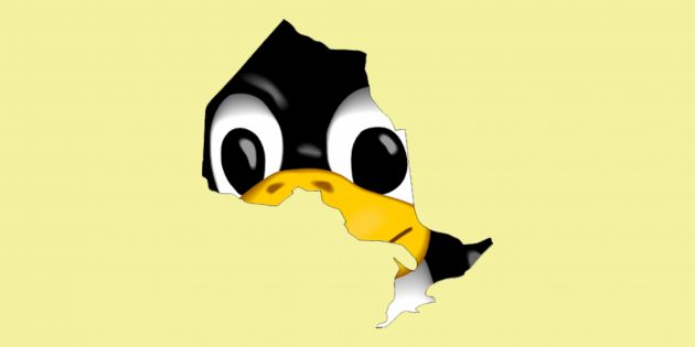 ��� ���������� Linux: ������������ ����������