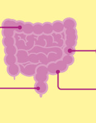 6 необычных фактов о том, как кишечник влияет на всё тело
