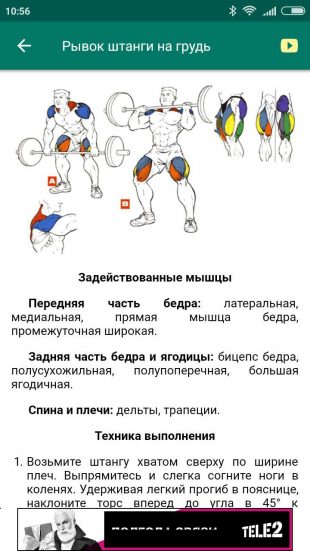 Приложения для тренировки всех мышц