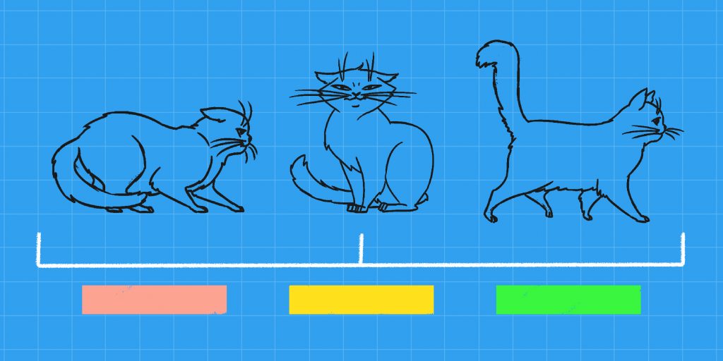 Как понимать язык котов