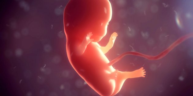 Искусственные эмбрионы