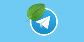 Как жить без Telegram: что делать, если мессенджер перестал работать