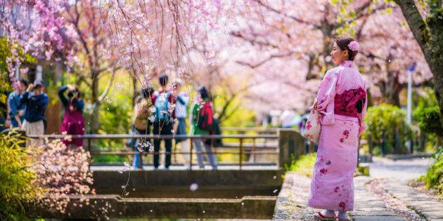 Куда поехать в апреле: Киото, Япония