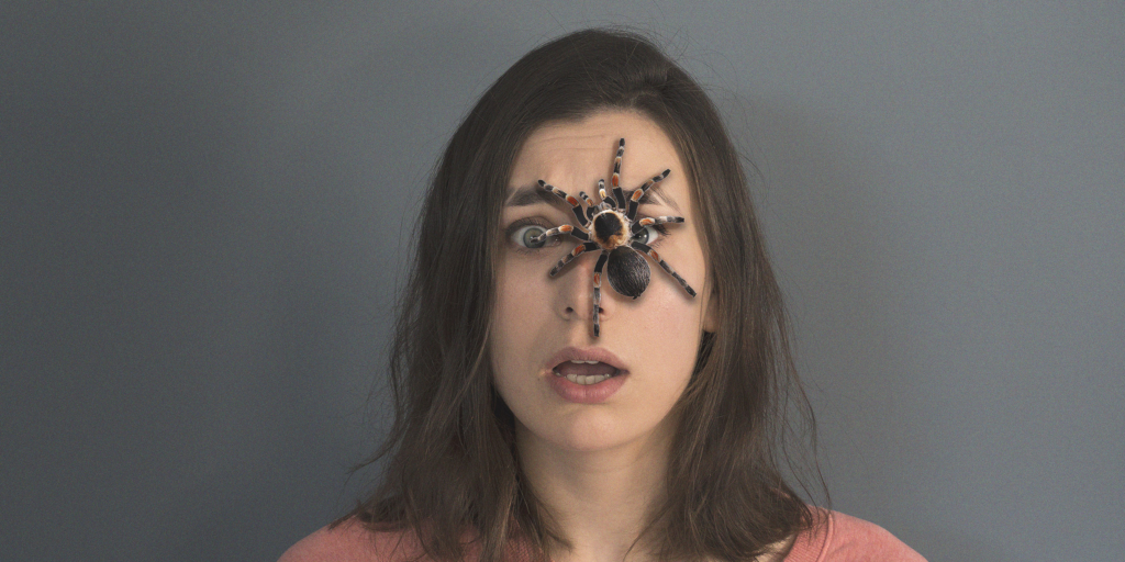 Почему мы так боимся пауков