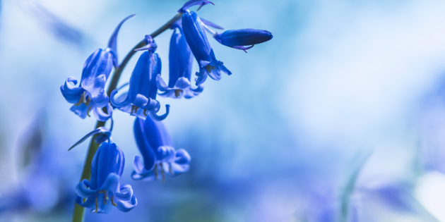 ���������� ������������, �������� �� ����