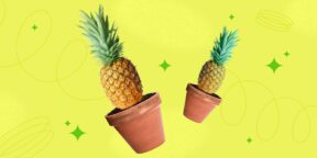 Как вырастить ананас в домашних условиях_ пошаговая инструкция
