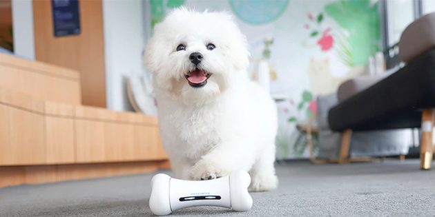 �����������: ������ ����, ������� ����� ������ �� Kickstarter � � ������ ������