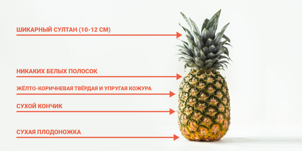 Как выбрать ананас: признаки спелого ананаса