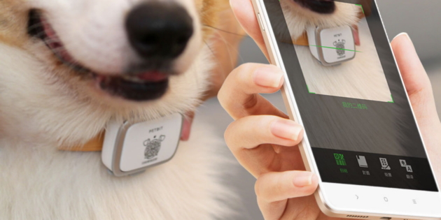 Xiaomi Petbit