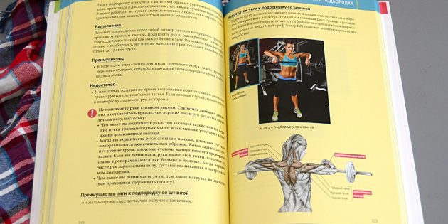 Как составить тренировку для всех мышц