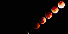 «Кровавая Луна» 27 июля: где и во сколько можно посмотреть затмение
