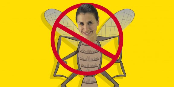 10 лучших народных средств от комаров и других насекомых