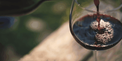 Как сделать вино из чёрной смородины в домашних условиях