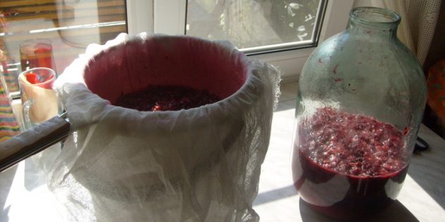 Как сделать вино из красной смородины в домашних условиях. Все ягоды должны остаться в марле