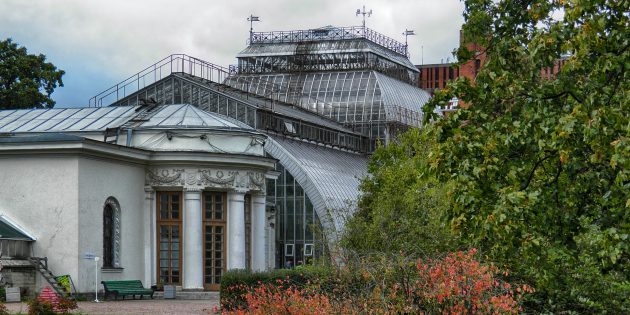 Достопримечательности Санкт-Петербурга: Ботанический сад